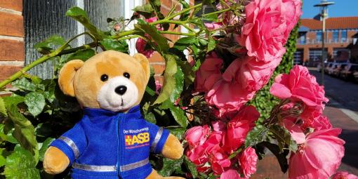 Das Wünschewagen-Maskottchen im Garten